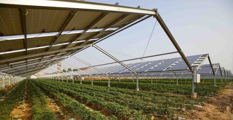 Fotovoltaico integrato in agricoltura